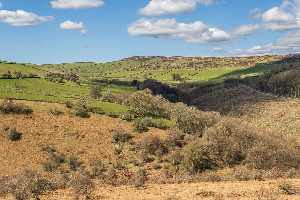 Abney Moor Abney Moor